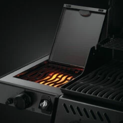 Napoleon Freestyle 365, 3 Hauptbrenner, Mit Sizzle Zone Seitenbrenner Und Tür, Graphit -Santos Grills Verkaufsladen 12d68a98554dcf0989a1f74aaef91d33