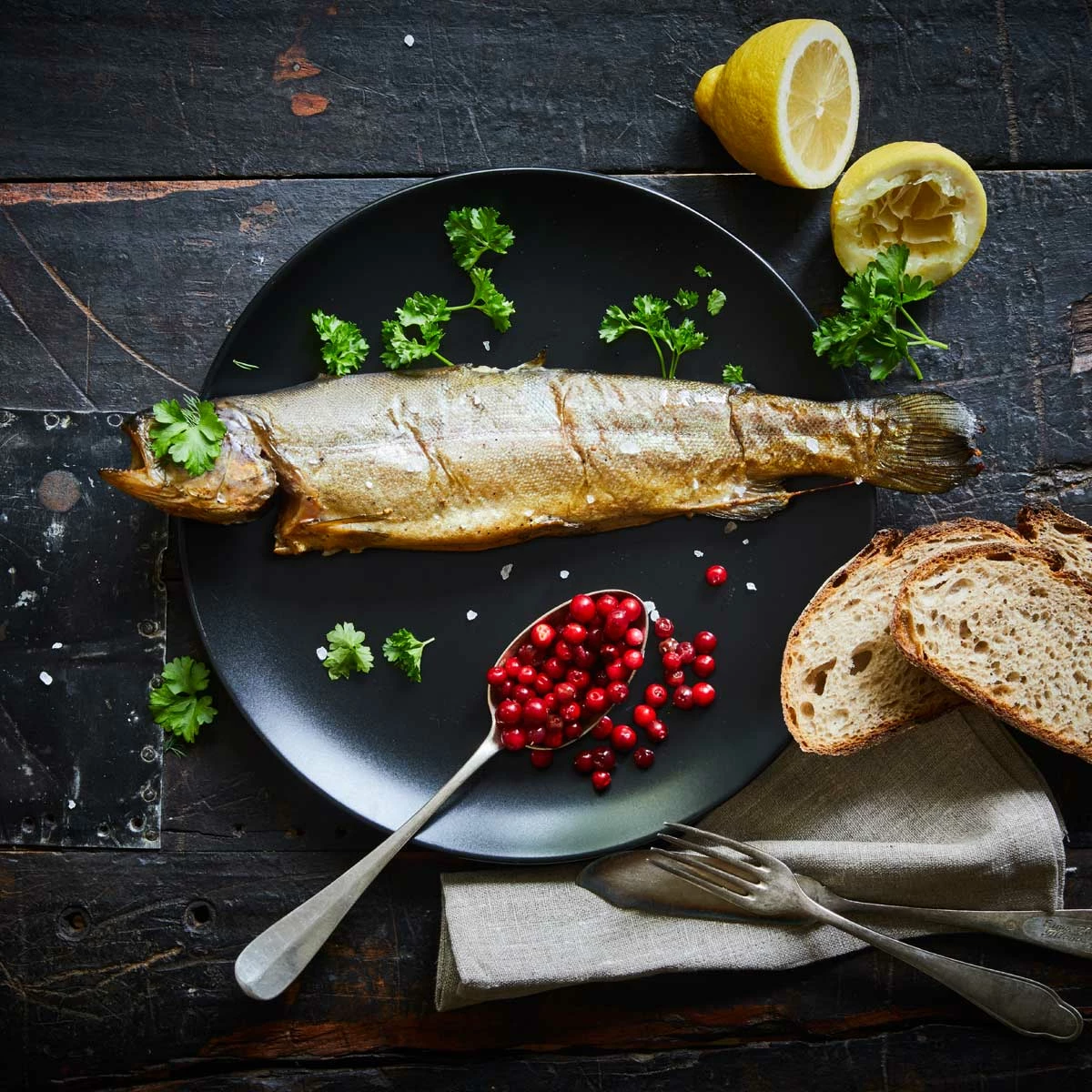 Borniak Räucherofen Simple UWD-70 Version 1.4 4 Borniak Räucherofen Simple UWD-70 Version 1.4 – Bild 2