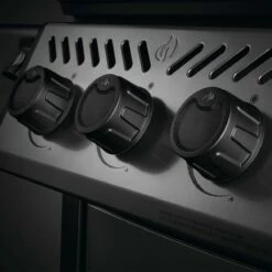 Napoleon Freestyle 365, 3 Hauptbrenner, Graphit -Santos Grills Verkaufsladen napoleon freestyle 365 3 hauptbrenner graphit 2f1eb5625778b5d7f71403fa55cda22e