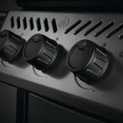 Napoleon Freestyle 425, 4 Hauptbrenner, Graphit -Santos Grills Verkaufsladen napoleon gasgrill freestyle 425 4 hauptbrenner graphit drehregler 08d058fc0cee4c445c586bf69bb0d55b