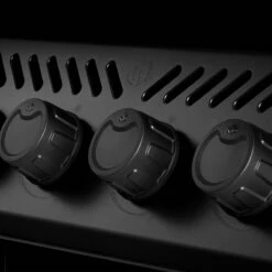 Napoleon Phantom Freestyle 425, Mattschwarz – Modell 2023 17 Napoleon Phantom Freestyle 425, Mattschwarz – Modell 2023 -Santos Grills Verkaufsladen napoleon phantom freestyle 425 mit edelstahl rosten und tuer mattschwarz f38064585154547b12e3052f4c30a7de