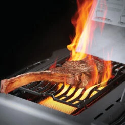 Napoleon Gasgrill Prestige 665, Edelstahl -Santos Grills Verkaufsladen napoleon prestige p665rsibpss edelstahl 86c258b56293bfa624afb292d061b043