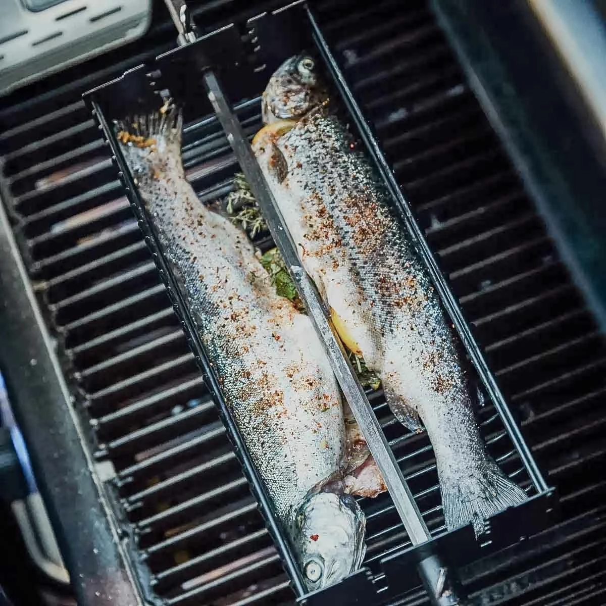 SANTOS Drehspieß-Korb Set Für Drehspieße, Grillkorb, Eckig 6 SANTOS Drehspieß-Korb Set Für Drehspieße, Grillkorb, Eckig – Bild 4