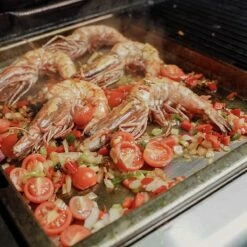 SANTOS Plancha, Einsatzpfanne Für Napoleon Triumph 325 -Santos Grills Verkaufsladen santos einsatzpfanne fuer napoleon triumph 325 6c0471af83769616f18c1c9f42309b97